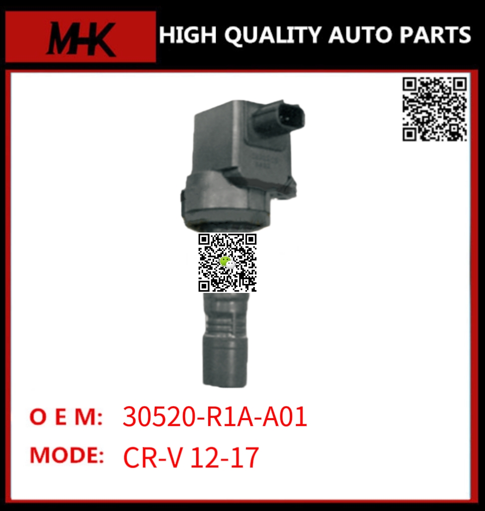 30520-R1A-A01