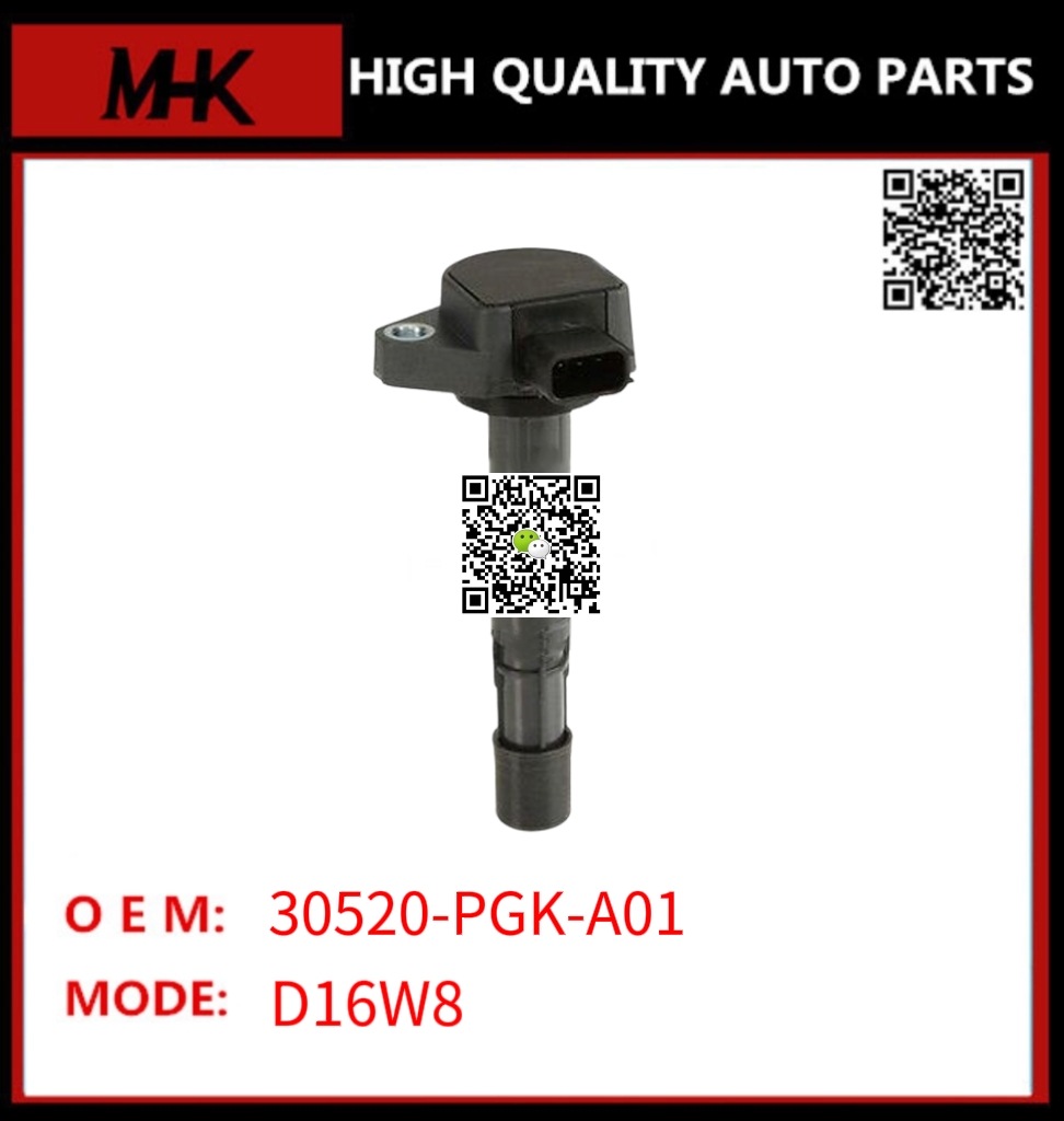 30520-PGK-A01